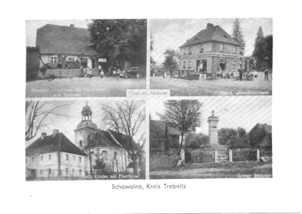 schawoine.jpg