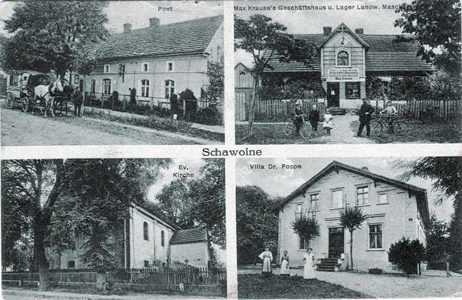 schawoine_02.jpg