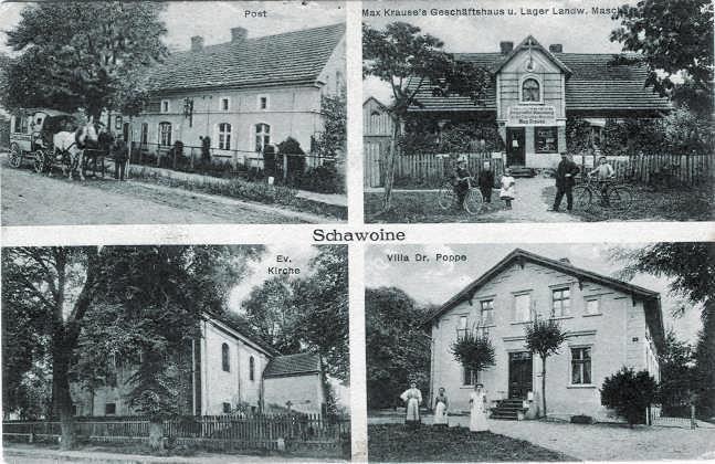 schawoine_02